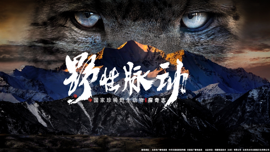 野性脉动——国家珍稀野生动物探奇志