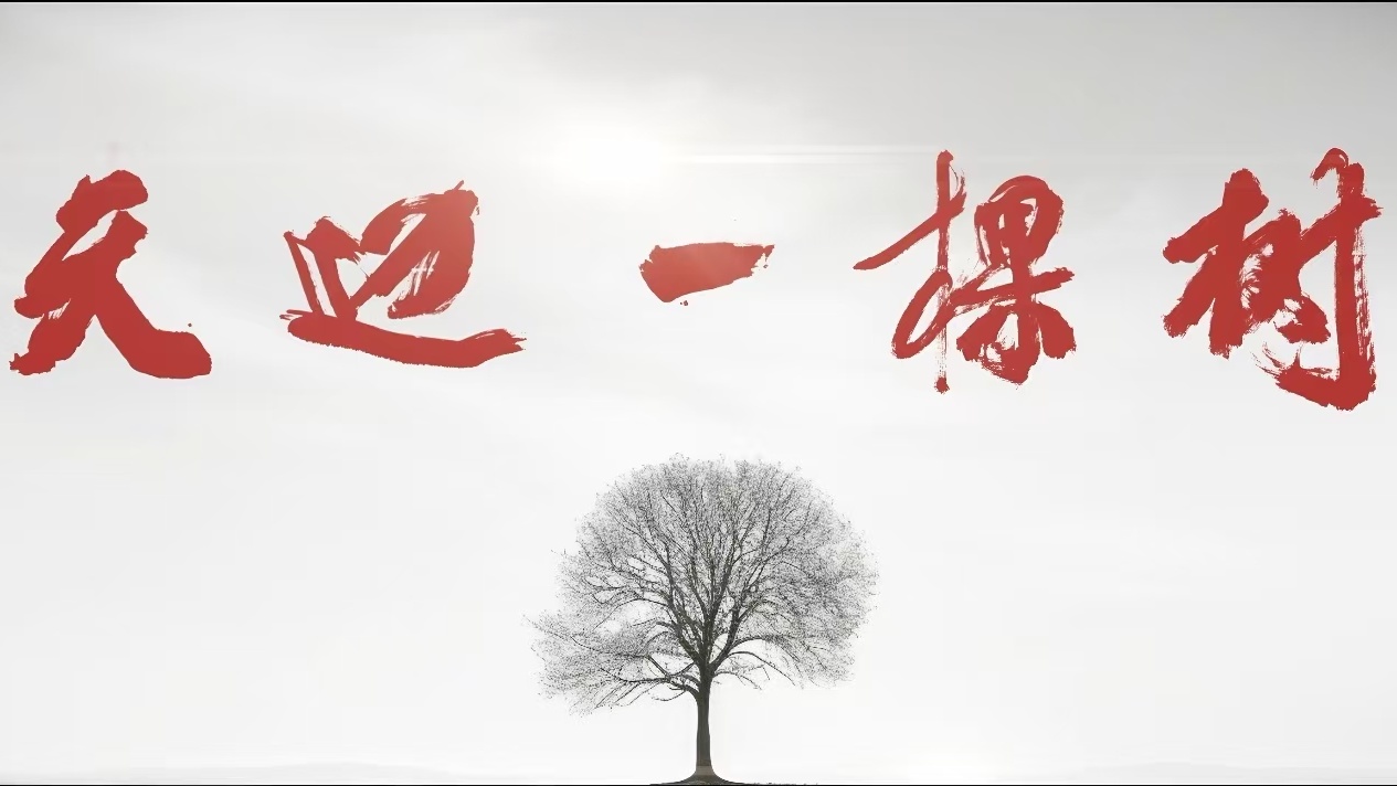 天边一棵树