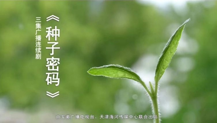 种子密码