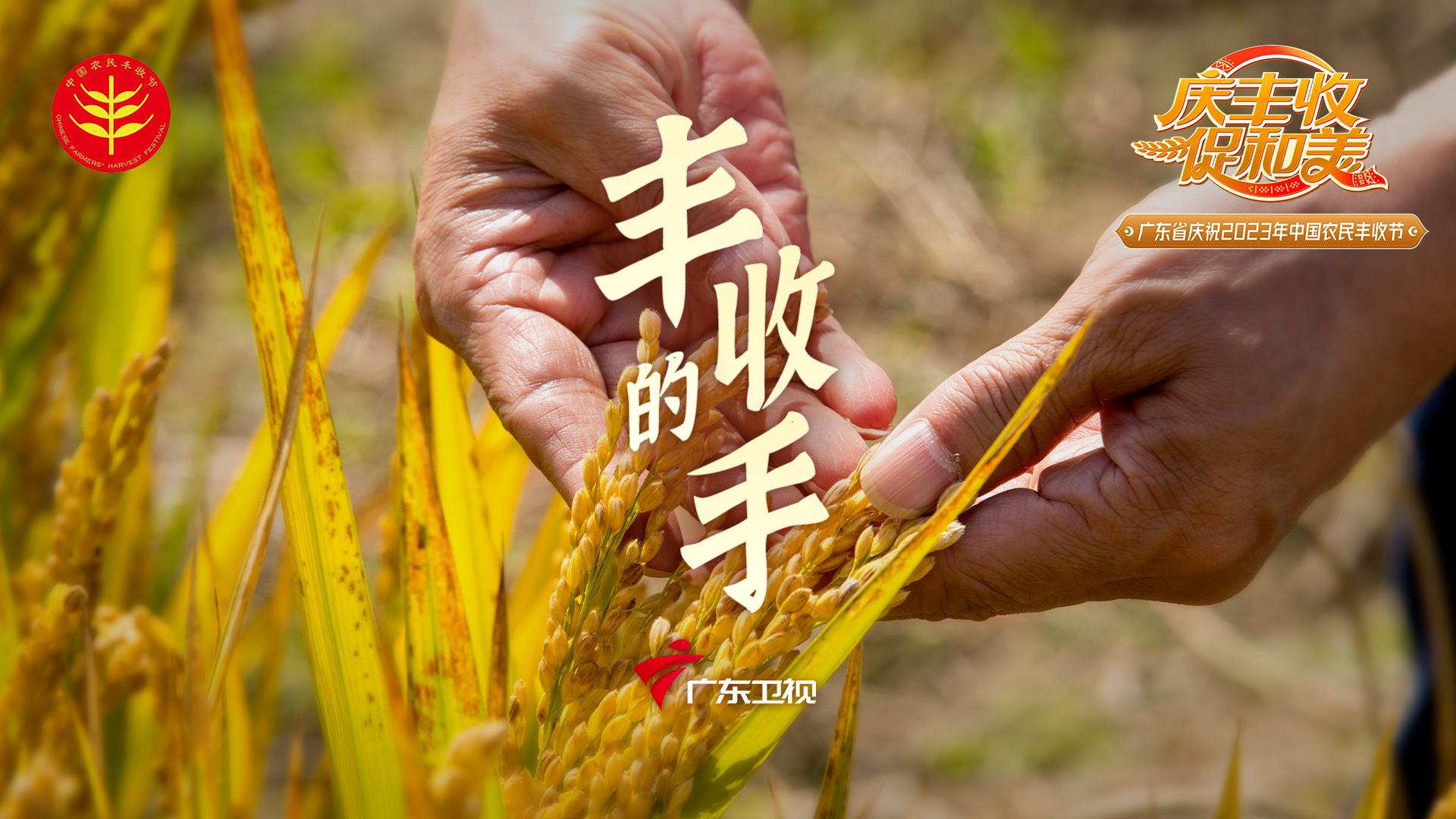 丰收的手